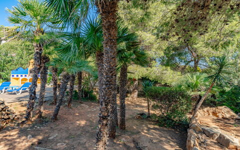 El Cacique: Agua, Los Recursos Hídricos, Cuerpo De Agua, Klippe, Costa, Paisaje Natural, Promontorio, Costeras Y Los Accidentes Geográficos Oceánico, Terreno, Promontorio