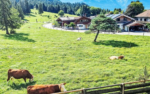 Edelweiss: Pasto, Paisaje, Área Rural, Pradera, Hill Station, Prado, Pasto, Cordillera, Manada