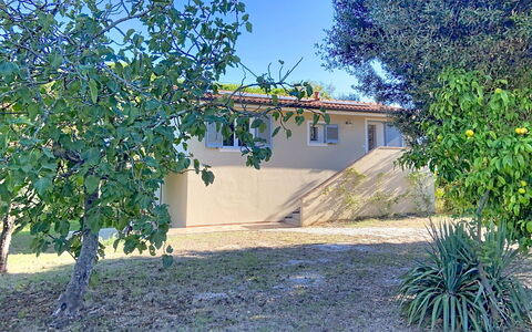 Linaglia: Sombra, Jardín, Patio Interior, Yarda, Césped, Paisajismo, Entrada De Coches, Sombra, Casa De Campo