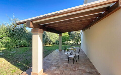 Linaglia: Madera, Sombra, Haz, Columna, Estructura Al Aire Libre, Manchas De Madera, Techo, Mueble Para Exteriores, Jardín, Patio