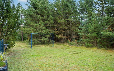 Karelia - 900M from the Sea: Árbol, Plantas Leñosas, Césped, Jardín, Arboleda, Bosque, Sombra, Parque, Paisajismo, Hojas Perennes