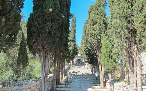 Sa Serra: Árbol, El Maletero, Plantas Leñosas, Pasarela, Hojas Perennes, Sendero, Familia De Pino