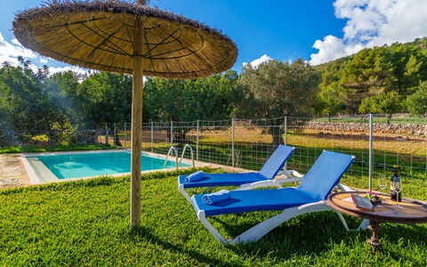 Sa Serra: Piscina, Recurso, Eco Hotel, Mueble Para Exteriores, Patio Interior