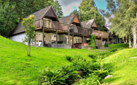 Daisy Valley Lodge: Casa, Cabaña, Área Rural, Asentamientos Humanos, Casa, Cobertura Del Suelo, Césped, Jardín, Yarda, Casa De Campo