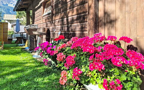 Mayrhofen 44: Flor, Pétalo, Jardín, Rosado, Planta Floreciendo, Primavera, Cobertura Del Suelo, Floristas, Maceta