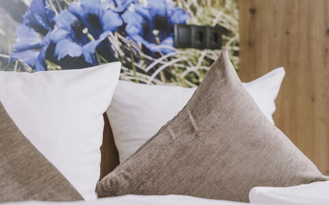 Mayrhofen 44: Amortiguar, Habitación, Linos, Arrojar La Almohada, Lecho, Sábana, Almohada, Textil, Mueble, Cama