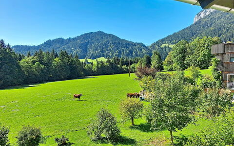 Ferienhaus Lanzinger: Accidentes Geográficos Montañosas, Verde, Árbol, Hierba, Montaña, Paisaje Natural, Pradera, Colina, Tierras Altas, Paisaje