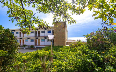 Balcon al Mar: Balcón