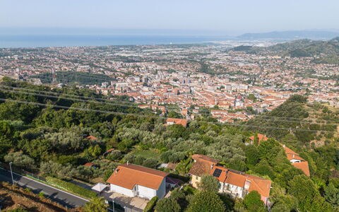 L'Edera e Il Mare