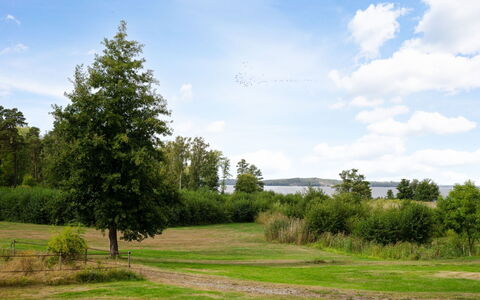 Björkfjärden: Cielo, Azul, Hoja, Verde, Hierba, Árbol, Naturaleza, Entorno Natural, Rama, Vegetación
