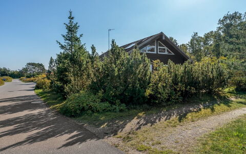 Herdina - 300M from the Sea