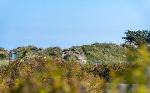 Herdina - 300M from the Sea: Cielo, Azul, Hierba, Verde, Vegetación, Ecorregión, Pradera, Planta De La Comunidad, Arbusto