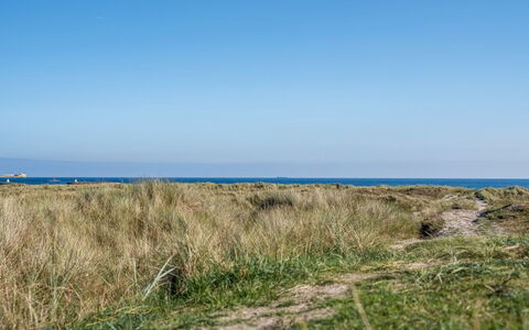 Herdina - 300M from the Sea: Azul, Hierba, Horizonte, Pradera, Ecorregión, Verano, Mar, Planta De La Comunidad, Shrubland, Llanura