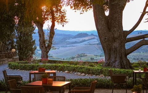 La Veduta – Scenic Views, Historic Castelfalfi: Mueble, Jardín, Mesa Al Aire Libre, Mueble Para Exteriores, Paisajismo, Sombra, Eco Hotel, Plantación, Noche