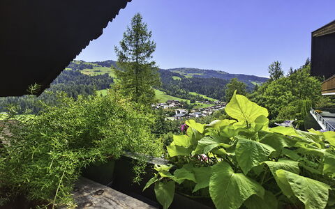 Manharthof: Arquitectura, Pendiente, Cabaña, Cordillera, Cuarto De Troncos, Vía Muerta, Maderas, Alpes, Eco Hotel, Pueblo De Montaña