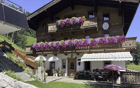 Manharthof: Arquitectura, Pendiente, Cabaña, Cordillera, Cuarto De Troncos, Vía Muerta, Maderas, Alpes, Eco Hotel, Pueblo De Montaña