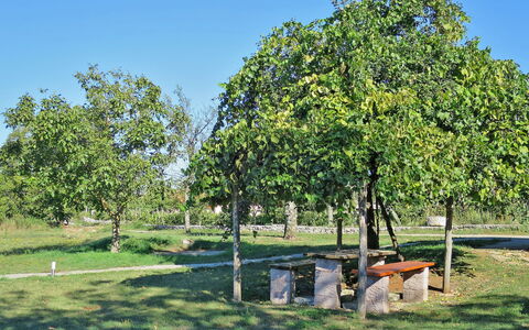 Danijela 2: Arquitectura, Pendiente, Cabaña, Cordillera, Cuarto De Troncos, Vía Muerta, Maderas, Alpes, Eco Hotel, Pueblo De Montaña