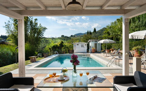 Al Melo: Piscina, Mueble, Recurso, Mueble Para Exteriores, Maceta, Silla, Eco Hotel, Inmuebles, Planta De Casa, Hacienda