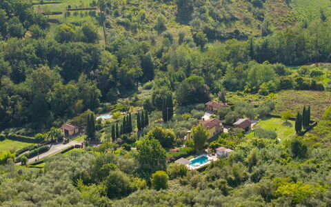 Al Melo: Árbol, Vegetación, Paisaje, Área Rural, Casa, Arbusto, Barrio Residencial, Planta De La Comunidad, Techo, El Terreno Del Lote