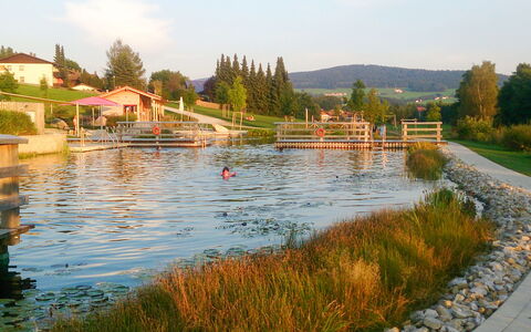 Stephi: Cuerpo De Agua, Banco, Corriente De Agua, Lago, Estanque, Reservorio, Reflexión, Canal, Jardín, Fuente De Agua