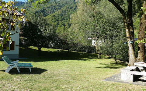 Ca' Angiulin: Césped, Jardín, Sombra, Parque, Yarda, Patio Interior, Hojas Perennes