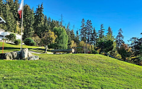 Crans-Montana 480: Hierba, Verde, Pradera, Paisaje, El Terreno Del Lote, Prado, Césped, Pasto, Alerce