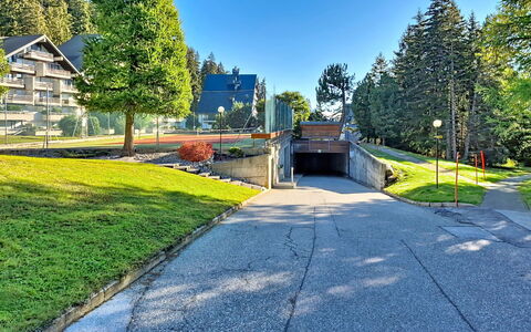Crans-Montana 480: Árbol, Sombra, Alerce, Paisajismo, Pasarela, Hojas Perennes, Entrada De Coches, Familia De Pino