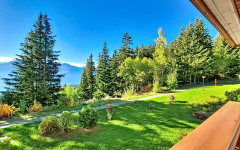 Crans-Montana 480: Árbol, Paisaje, Colina, Hill Station, Cordillera, Alerce, Bosque, Valle, Pendiente, Cresta