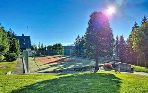 Crans-Montana 480: Azul, Cielo, Árbol, Alerce, Pendiente, Césped, Paisajismo, Hojas Perennes, Parque