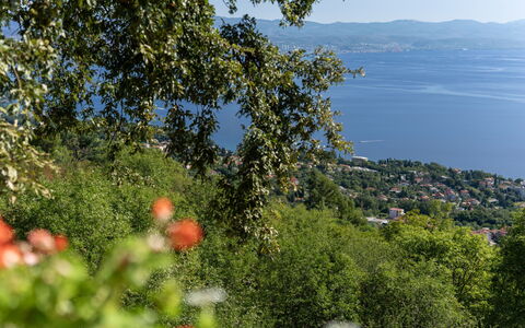 Delost