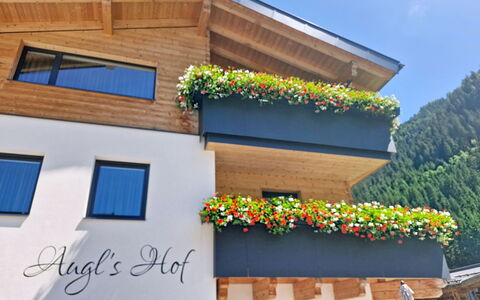 Augl'S Hof: Balcón, Planta De Casa, Hotel, Toldo
