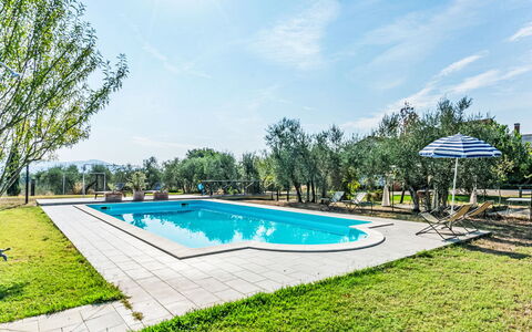 Podere degli Ulivi: Piscina, Mueble Para Exteriores, Jardín, Mueble, Recurso, Sombra, Eco Hotel, Patio Interior, Ocio, Silla