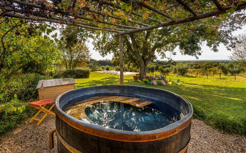 Villa Mare, Bolgheri: Jardín, Piscina, Paisajismo, Yarda, Patio Interior, Barril, Bañera, Fuente De Agua, Eco Hotel