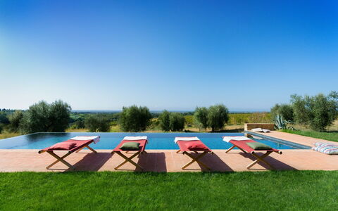Villa Mare, Bolgheri: Azul, Mueble, Piscina, Mueble Para Exteriores, Sunlounger, Paisajismo, Recurso, Eco Hotel, Sillón