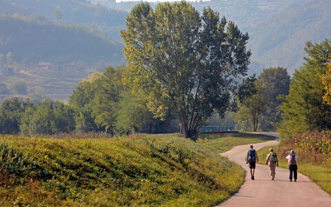 Pod Meloni: Árbol, Verde, Hoja, Hierba, Paisaje Natural, La Carretera, Pradera, Sendero, Recreación