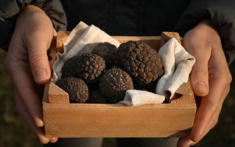 Pod Meloni: Ingrediente, Comida, Postre, Superfood