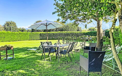 Carla: Hierba, Verde, Arbusto, Mueble, Jardín, El Terreno Del Lote, Césped, Mueble Para Exteriores, Cobertura Del Suelo, Sombra