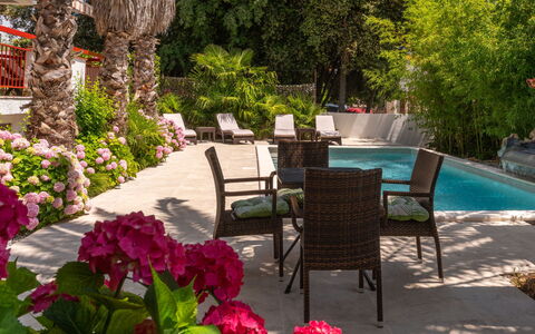 Botanica: Departamento, Recurso, Piscina, Condominio, Balcón, Hotel, Eco Hotel, Villa, Planta De Casa