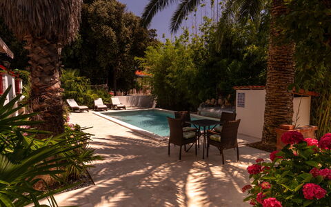 Botanica: Departamento, Recurso, Piscina, Condominio, Balcón, Hotel, Eco Hotel, Villa, Planta De Casa