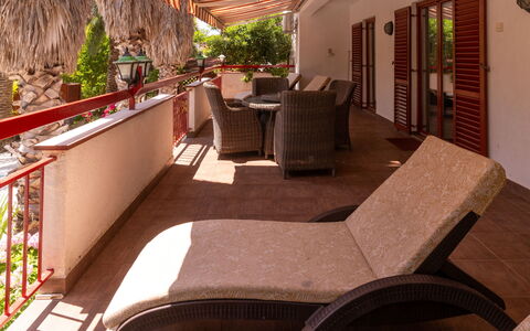 Botanica: Departamento, Recurso, Piscina, Condominio, Balcón, Hotel, Eco Hotel, Villa, Planta De Casa