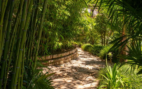 Botanica: Departamento, Recurso, Piscina, Condominio, Balcón, Hotel, Eco Hotel, Villa, Planta De Casa
