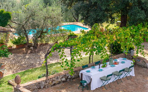 Podere Selva, Pool, Chianti: Arbusto, Jardín, Piscina, Sombra, Patio Interior, Mueble Para Exteriores, Paisajismo, Yarda, Recurso, Maceta
