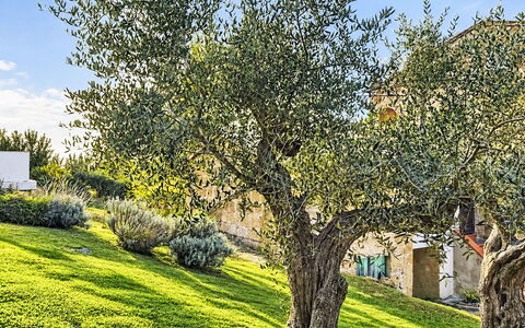 Bellomori House: Ladrillo, Inmuebles, Jardín, Suburbio, Entrada De Coches, Paisajismo, Yarda, Hacienda, Casa De Campo, Patio Interior