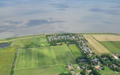 Wiringherlant