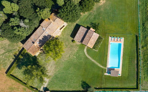 Villa del Poggio D'Oro 8: Piscina, Casa, El Terreno Del Lote, Casa, Césped, Inmuebles, Casa De Campo, Cabaña, Prado, Patio Interior
