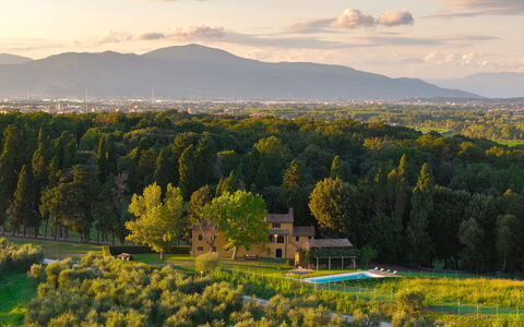 Villa del Poggio D'Oro 8: Árbol, Paisaje, El Terreno Del Lote, Área Rural, Llanura, Casa, Inmuebles, Prado, Casa De Campo, Plantación