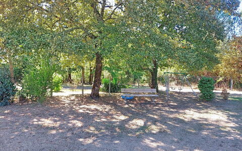 Tartoure: Hoja, Árbol, Rama, Arbusto, Sombra, El Maletero, Plantas Leñosas, Suelo, Bosque, Jardín