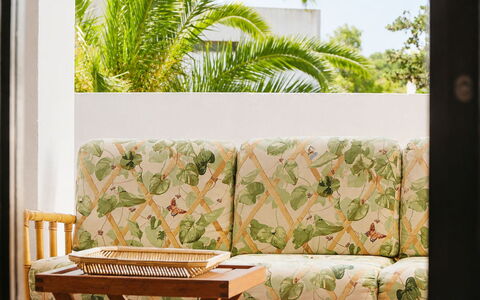 Paloma: Mueble, Diseño De Interiores, Sala, Amortiguar, Mueble Para Exteriores, Maceta, Planta De Casa, Sofá, Sombra