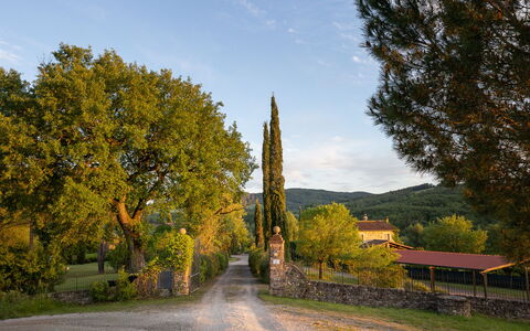 Tuscan Hamlet Relais Piettorri: Hoja, Árbol, Rama, El Maletero, Luz De Sol, Ramita, Sombra, Paisajismo, Entrada De Coches, Sombra