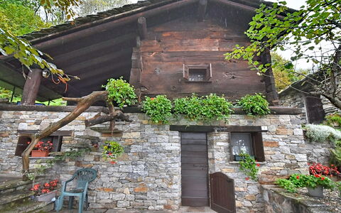 Chalet degli Gnomi: Árbol, Nieve, Invierno, Bosque, Congelación, Alerce, Hojas Perennes, Bosque